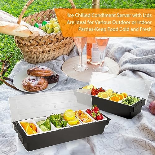 WICHEMI Ice Chilled Condiment Caddy with 6 Removable Trays and Lids