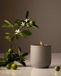 Homecourt Luxury Candle, Neroli Leaf Scent, 60-Hour Burn Time, Soy Wax Blend, Organic Cotton Wick, Reusable Kiln-Fired Ceramic Vessel, 8 Oz, 2.0