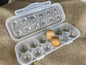 ZeQi 12Grid Shatterproof Transparent Egg Container, Food Grade PP Reusable Egg Holder for Fridge, Kitchen Storage, Camping & Outdoor Use