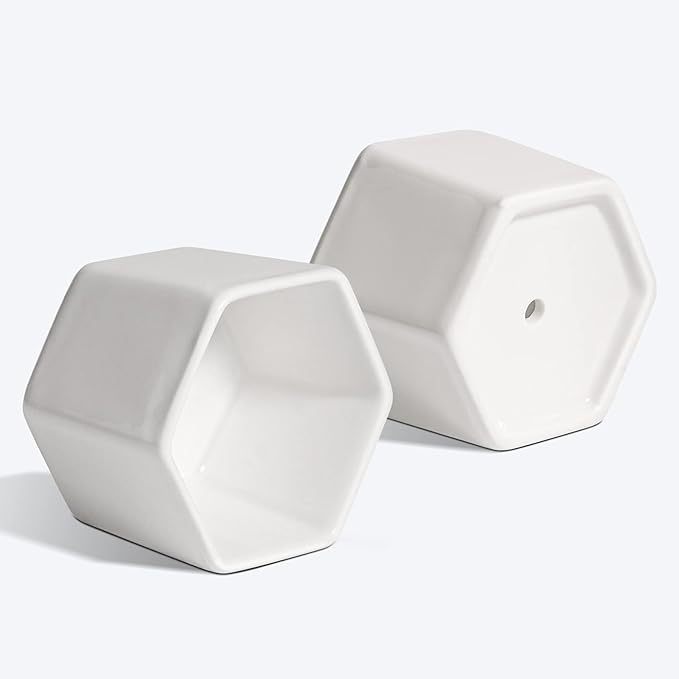 T4U Mini White Succulent Planter Pots with Bamboo Tray Hexagon Set of 12,Tiny Geometric Ceramic Cactus Plant Holder, Plant Gifts for Gardener Women Coworker, Home Office Table Desk Decoration