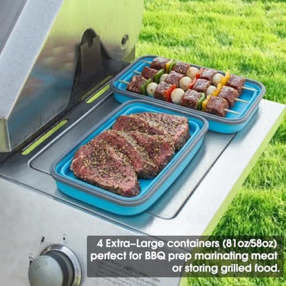 Collapsible Food Storage Containers with Lids 20 Pack(81oz/58oz Extra Large Included), 12 Rectangular+8 Round, Annaklin Silicone Collapsible Food Containers Sets Microwave Freezer Dishwasher Safe Blue