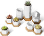 T4U Mini White Succulent Planter Pots with Bamboo Tray Hexagon Set of 12,Tiny Geometric Ceramic Cactus Plant Holder, Plant Gifts for Gardener Women Coworker, Home Office Table Desk Decoration