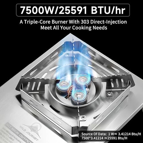 Camping Stove, Portable Foldable Stainless Steel Windproof Gas Stove with Electronic Ignition, Adjustable Flame, 25591 BTU Output, Includes Carry Bag, for IGT Table, Outdoor, Camping & Party Cooking