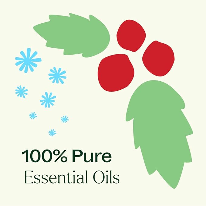Plant Therapy Christmas Magic Holiday Essential Oil Blend 3 Set, Trio of Exclusive Holiday Scents, Bring Festive Cheer to Every Room, Joyful & Uplifting