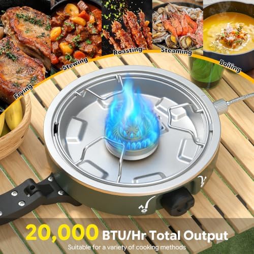 2 Burner Propane Camping Stove, 20000 BTU Camp Stove