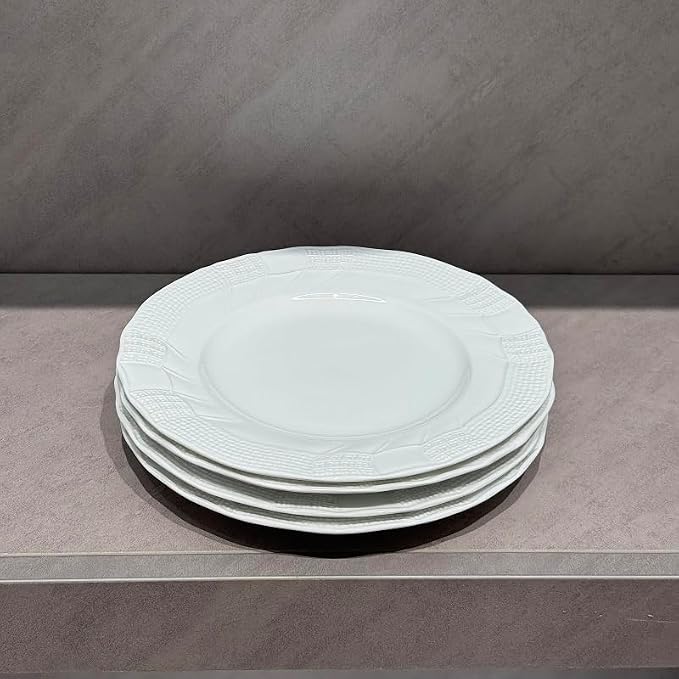 10 Inch Porcelain Dinner Plates Set of 4, Dishwasher safe, Microwave safe