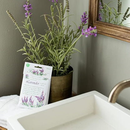 WillowBrook | Fresh Scents Scented Sachet Packet | Lavender | Air Freshener Bags for Drawers, Closets, Cars | 6 Pack | Long Lasting Home Fragrance