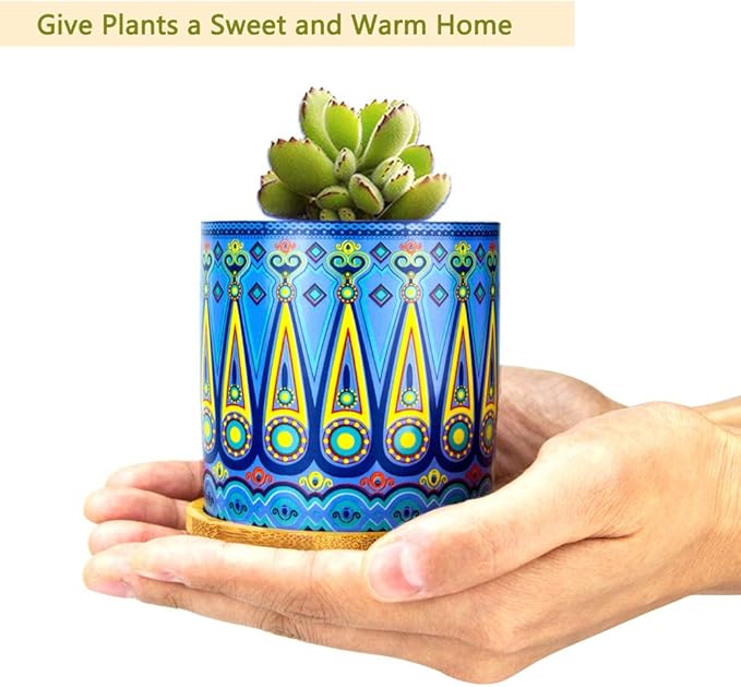 Mandala Succulent Pot with Drainage Hole & Bamboo Coaster, Small Plant Pots, Bohemian Ceramic Succulent Planter Pot for Small Plant-6 Pack