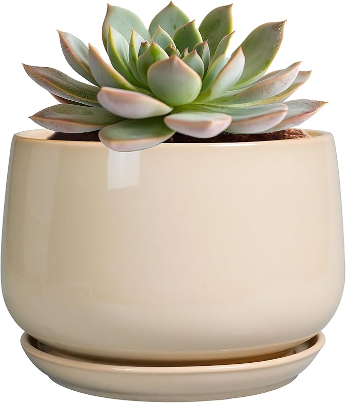 G EPGardening Ceramic Pot for Plants - 6 Inch Planter with Drainage and Ceramic Saucer, Flower Pots for Indoor Plants, Modern Outdoor Planter, Home Decor, Gift for Women Men, Beige