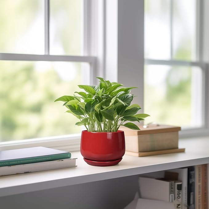 G EPGardening Ceramic Pots for Plants - 4 inch Succulent Pots Indoor Outdoor, Small Planter with Drainage Hole & Tray, Modern Flower Pot, Decorative Round Planter, Living Room Decor, Home Gifts, Red