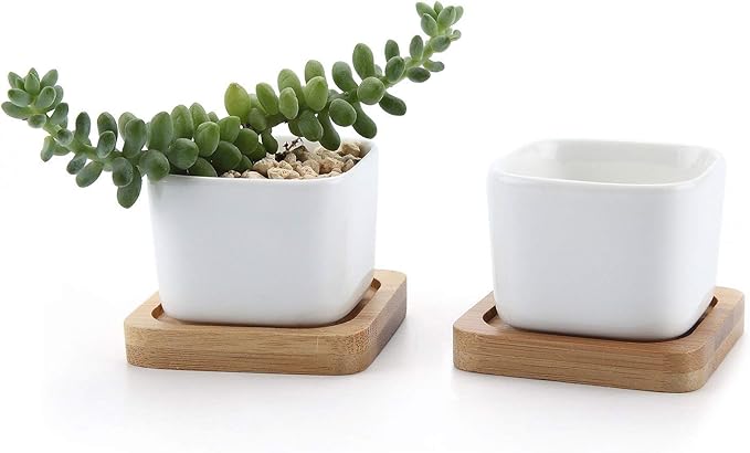 T4U 2 Inch Small White Succulent Planter Pots with Bamboo Tray Square Set of 2, Ceramic Flower Pots Cactus Air PlantContainers,Gardening Plant Gifts for Women, Modern Home and Office Decor