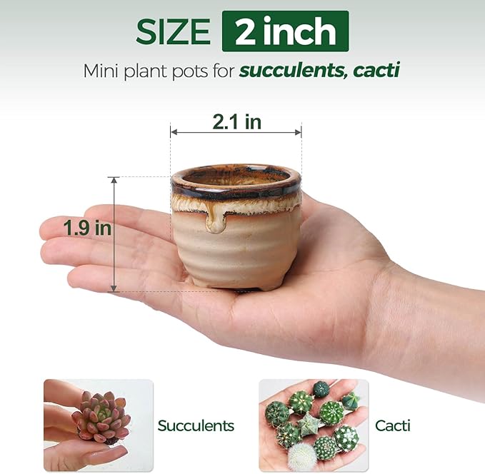 T4U Mini Ceramic Succulent Pots with Drainage - Set of 6, Tiny Pots for Plants, Home and Office Decor, Plant Lover Gifts for Women