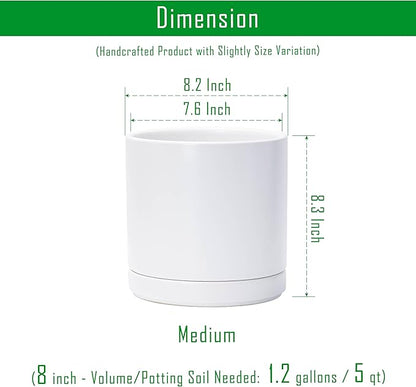 D'vine Dev 8.2 Inch Ceramic Planter Pot with Drainage Hole and Saucer, Indoor Cylinder Round Planter Pot, White, 94-O-D-1