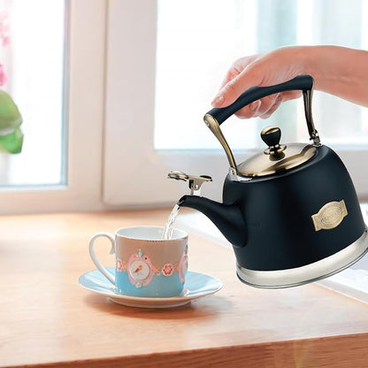 Tea Kettle Stainless Steel Teapot, Stainless Steel Teakettle for Stove Top with Heat Proof Ergonomic Handle 3.0 Quart