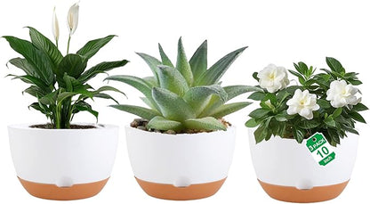 3 Pack Self Watering Planters for Plants Indoor,10 Inch Plant Pot Outdoor Plastic Flower Pot with Drainage and Saucers(White)