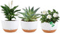 3 Pack Self Watering Planters for Plants Indoor,10 Inch Plant Pot Outdoor Plastic Flower Pot with Drainage and Saucers(White)
