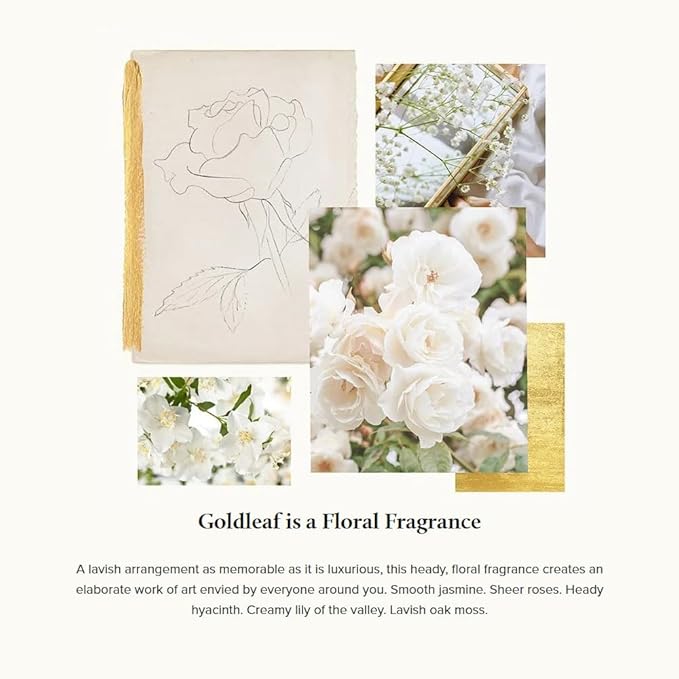 Thymes Reed Diffuser Oil - 7.75 Fl Oz – Goldleaf