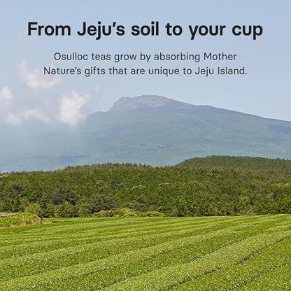 Osulloc Marron Glacé Black Tea, Roasted Chestnut Flavored, Sweet & Elegant Black Tea, Premium Tea Bags from Jeju Island, 20 count, 1.41oz