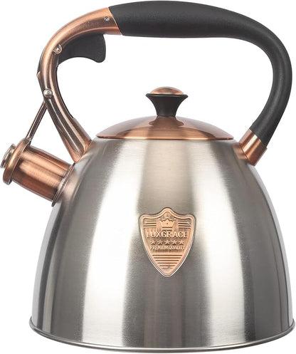 Tea Kettle -2.9 Quart Tea Kettles Stovetop Whistling Teapot Stainless Steel Tea Pots for Stove Top Whistle Tea Pot