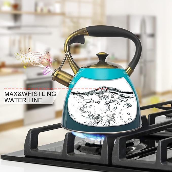 Tea Kettle -2.9 Quart Tea Kettles Stovetop Whistling Teapot Stainless Steel Tea Pots for Stove Top Whistle Tea Pot