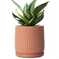 D'vine Dev 6 Inch Terracotta Beaded Planter Pot - Flower Pot with Drainage Hole and Saucer for Indoor Succulent Plants or Flowers, Terracotta, 27-C-X-7