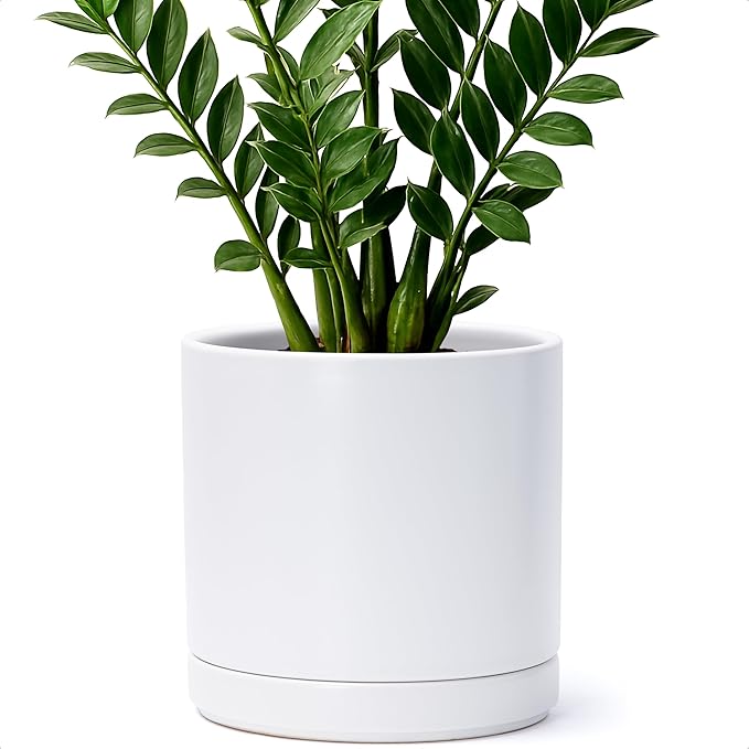 D'vine Dev 8.2 Inch Ceramic Planter Pot with Drainage Hole and Saucer, Indoor Cylinder Round Planter Pot, White, 94-O-D-1