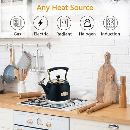 Tea Kettle Stainless Steel Teapot, Stainless Steel Teakettle for Stove Top with Heat Proof Ergonomic Handle 3.0 Quart