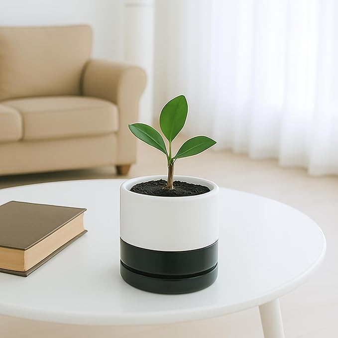 D'vine Dev 4.7 Inch Ceramic Planter Pot with Drainage Hole and Saucer, Indoor Cylinder Round Planter Pot, Layered Monochrome Black & White, 94-O-B-L