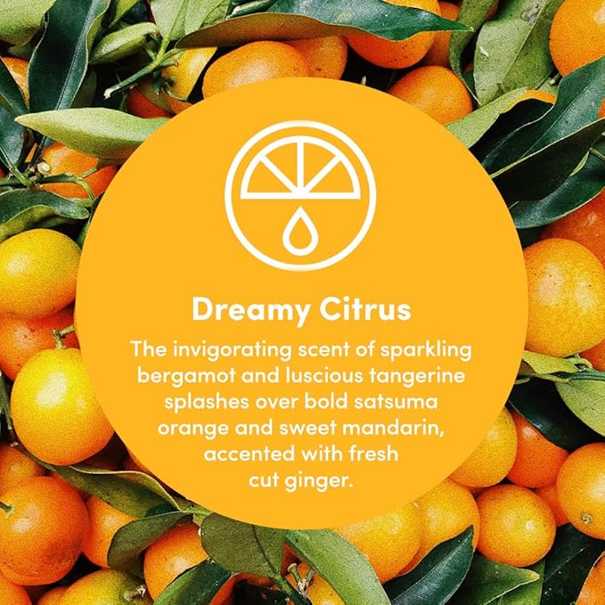 Clean Revolution Multi Surface Cleaner Refill Supply, Non-Toxic, Eco-Friendly & Plant-Based, Ready to Use, Dreamy Citrus, 128 Fl Oz (1 Gallon)
