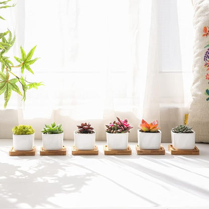 T4U 2 Inch Small White Succulent Planter Pots with Bamboo Tray Square Set of 2, Ceramic Flower Pots Cactus Air PlantContainers,Gardening Plant Gifts for Women, Modern Home and Office Decor