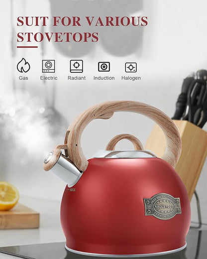 Tea Kettle Stovetops, 2.7 Quart Food Grade Stainless Steel Water kettles for Stove Top Teatop with Anti-hot Ergonomic Handle,Suitable for All Heat Sources