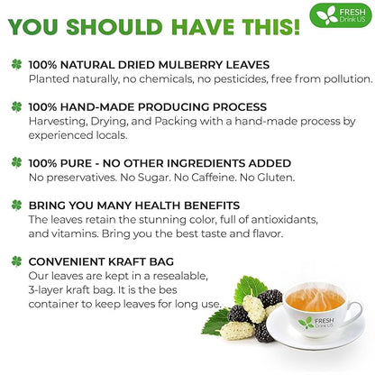 FreshDrinkUS, Permium 16oz Mulberry Leaves, 100% Natural & Pure from Mulberry Leaves, Loose Leaf Herbal Tea, No Additives, No Caffeine, Vegan