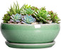 SQOWL Succulent Planter 12 Inch - Ceramic Bonsai Pots with Drainage Hole and Saucer, Large Shallow Planter, Bowl Round Planter for Indoor Outdoor Plants Flower, Room Decor, Birthday Gifts, Green