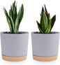 QCQHDU 6.5 inch Plant Pot, 2 Pack Planters for Indoor Plants with Drainage Holes & Saucer, Outdoor Flower Pots Home Garden Modern Decor