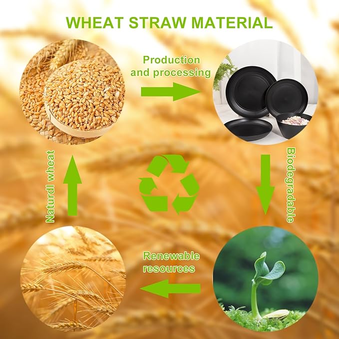 LIYH 48 Pcs Black Wheat Straw Plates and Bowls Dinnerware Set Camping Dish Set for 12, Plastic Plates and Bowls, Dishwasher Safe Dinnerware Sets, Unbreakable Plastic Camper Dishes Sets