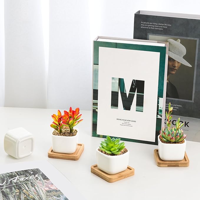 T4U 2 Inch Small White Succulent Planter Pots with Bamboo Tray Square Set of 2, Ceramic Flower Pots Cactus Air PlantContainers,Gardening Plant Gifts for Women, Modern Home and Office Decor