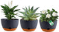3 Pack Self Watering Planters for Plants Indoor,10 Inch Plant Pot Outdoor Plastic Flower Pot with Drainage and Saucers(Grey)