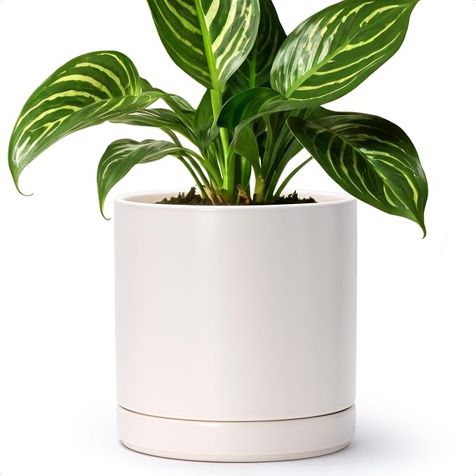 D'vine Dev 8.2 Inch Ceramic Planter Pot with Drainage Hole and Saucer, Indoor Cylinder Round Planter Pot, Oatmeal, 94-O-D-8