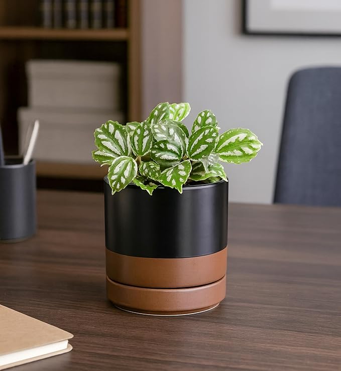 D'vine Dev 4.7 Inch Ceramic Planter Pot with Drainage Hole and Saucer, Indoor Cylinder Round Planter Pot, Black/Speckled Tan, 94-O-B-7