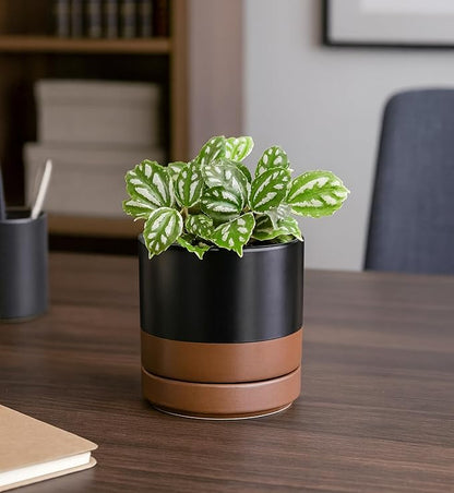 D'vine Dev 4.7 Inch Ceramic Planter Pot with Drainage Hole and Saucer, Indoor Cylinder Round Planter Pot, Black/Speckled Tan, 94-O-B-7