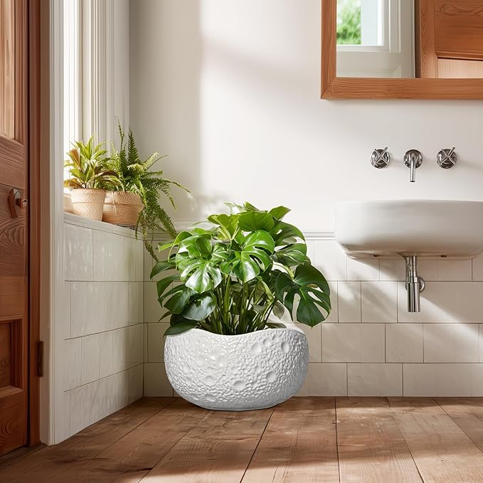 Large Bonsai Pots - 13 Inch Ceramic Planter for Indoor Outdoor, Round Plant Pot, Decorative Flower Pots with Drainage Hole, Modern Unique Planters, Garden Decor Home, Garden Gifts, White