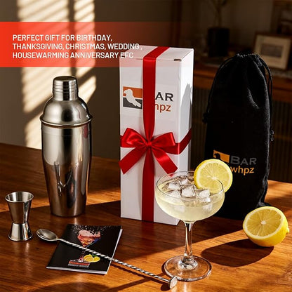 Cocktail Shaker Set, 24oz Stainless Steel Bartender Kit with Measuring Jigger & Mixing Spoon,Cocktail Recipe,Professional Martini Shaker for Home Bar, Drink Mixer Set for Beginner & Bartender Gift