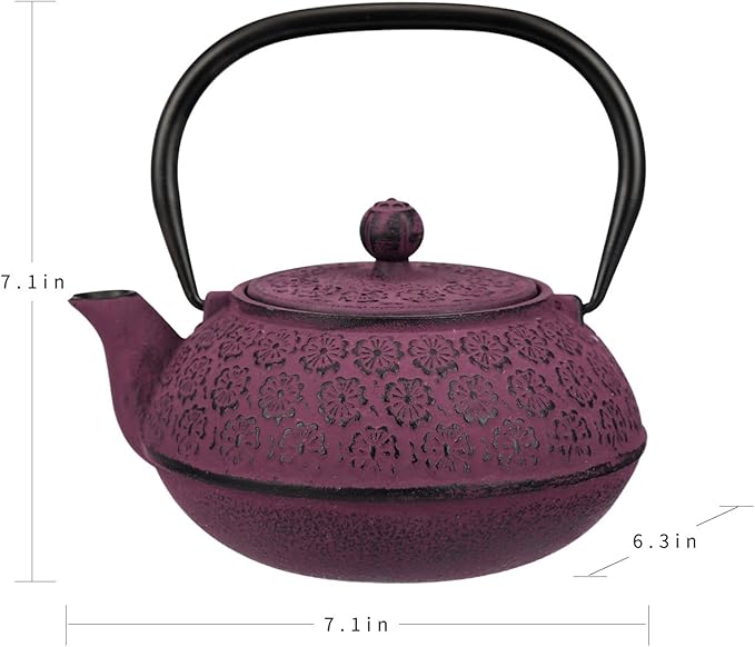 30 oz Cast Iron Teapot Enamel Lining W/Metal Infuser Tea Kettle, Purple