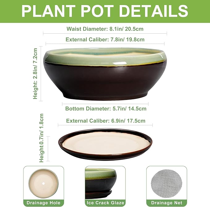 SQOWL Bonsai Pots 8 Inch - Ceramic Succulent Planters with Drainage Hole and Tray, Round Shallow Planter for Indoor Plants, Ceramic Planter Bowl Outdoor, Living Room Decor, Garden Gift, Green-Brown