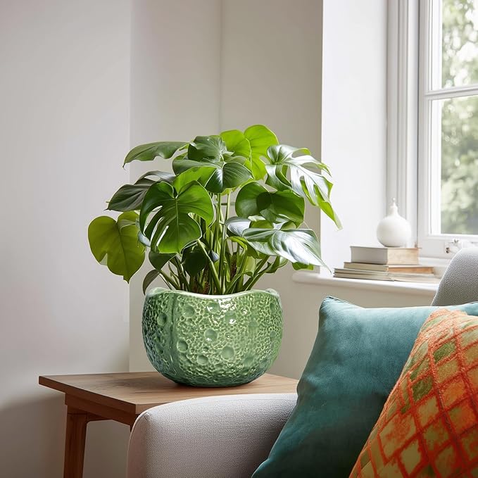 8 Inch Plant Pot - Ceramic Pots for Plants with Drainage Hole, Round Decorative Plant Pots for Indoor Outdoor, Modern Unique Flower Pot, Office Decor, Garden Gifts, Green