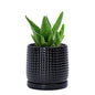 D'vine Dev 4 Inch Ceramic Beaded Stoneware Planter Pot - Flower Pot with Drainage Holes and Saucers for Indoor Succulent Plants or Flowers, Glossy Black, 27-C-Z-2