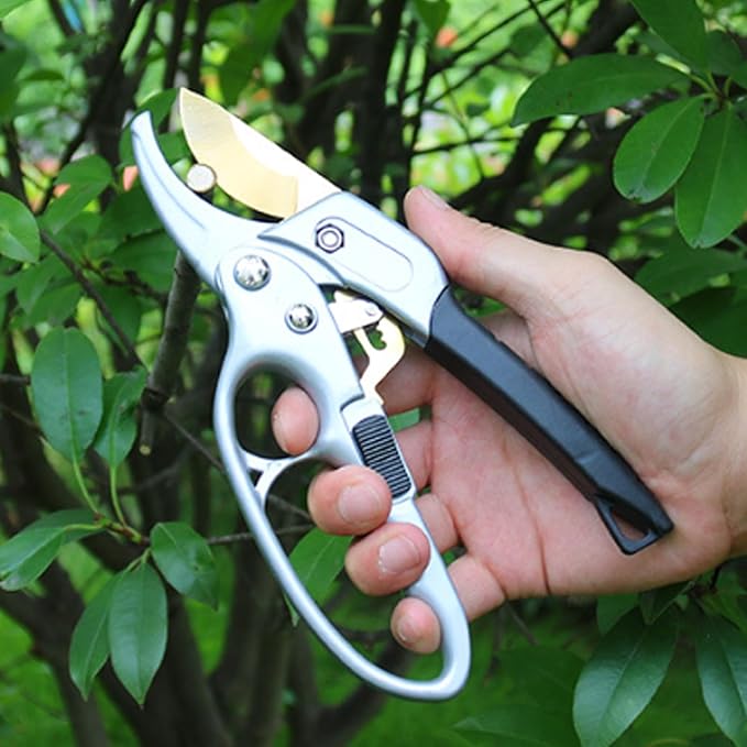 Ultra Sharp Germany Titanium Steel Pruning Shears - Cuts 3X Easier, Weak Hand Arthritis Snips, Rust-Resistant, Effortlessly 1-Inch Cut Capacity Garden Scissors, Ergonomic Handle