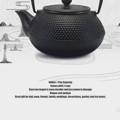 Alvinlite Cast Iron Teapot Set, Japanese Tetsubin Tea Kettle Set with Stainless Steel Infuser for Leaf Loose Tea and Blooming Flower Tea Cast Iron Tea Kettle (Black 800ml / 27oz)