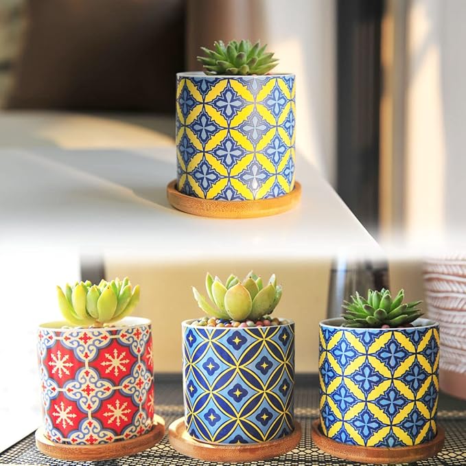 6 Pack Succulent Pots with Drainage Hole, 3 inch Ceramic Succulent Planter with Bamboo Tray, Bright Color Succulent Plant Pots for Cacti Succulent Soil Potting Mix Indoor/Outdoor