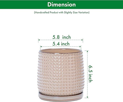 D'vine Dev 6 Inch Ceramic Beaded Stoneware Planter Pot - Flower Pot with Drainage Holes and Saucers for Indoor Succulent Plants or Flowers, Light Brown, 27-C-X-4